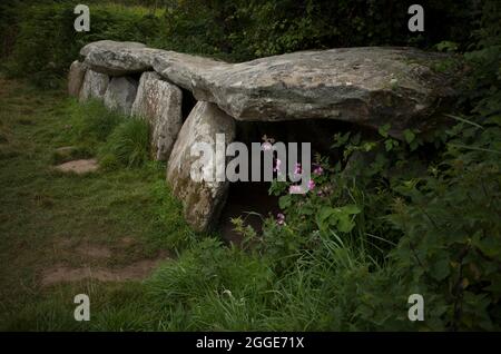 Allee couverte of the dolmens of Kerguntuil (also Kerguntuilh), Tregastel, Cotes-d'Armor, Brittany, France Stock Photo