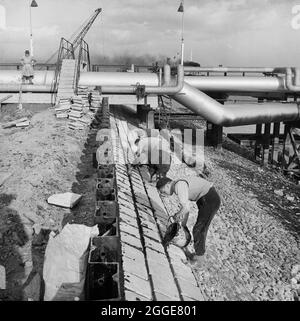Workers constructing a protective wall of precast concrete blocks at Coryton Oil Refinery, as part of extensive flood prevention work at the site. On the night of Saturday 31st January through to the morning of Sunday 1st February 1953, severe floods struck parts of the UK, Scotland, Belgium and the Netherlands. The natural disaster is often referred to as the North Sea Flood of 1953. Severe flooding occurred along the east coast of the UK. The site of Coryton Oil Refinery flooded as the river wall protecting the site was breached in 14 places. An article detailing the disaster and subsequent Stock Photo