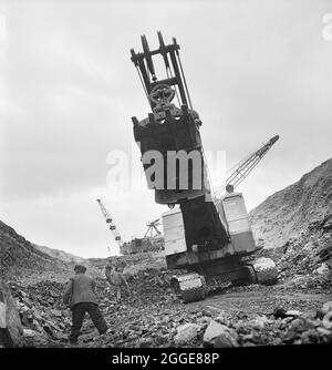 A small team of men at work in the opencast mine at Carrington's Coppice as an excavator looms overhead. John Laing and Son Ltd had started opencast mining operations in 1942 to meet wartime needs. The work was expanded by the company after the war. Carrington's Coppice was the largest site that the company worked and was the deepest opencast site in Britain. Work started in 1947 and by 1949 the seam was worked out. By August 1950 the land was reinstated for agricultural use. Stock Photo