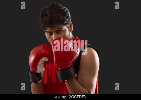 A DETERMINED BOXER STANDING READY TO FIGHT Stock Photo