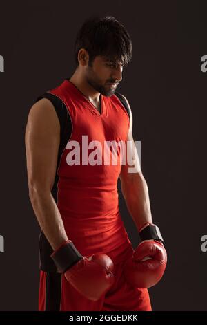 A CONFIDENT BOXER STANDING AND LOOKING DOWN WHILE THINKING Stock Photo