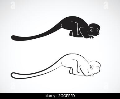 Vector of squirrel monkey design on a white background,. Wild Animals,. Easy editable layered vector illustration. Stock Vector