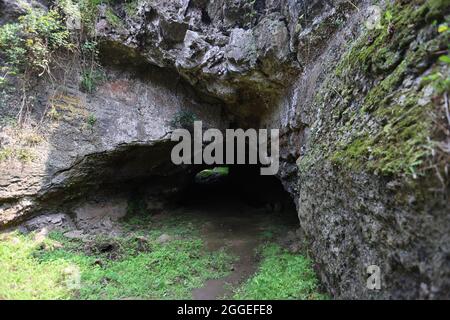 Lava tunnel near the Caldeira on the island Graciosa, Azores Stock Photo