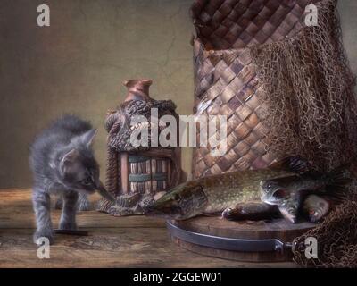 Still life with pike fish and little kitten Stock Photo