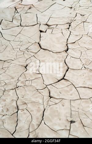 Background of arid terrain in desert on summer. Waterless soil. Stock Photo