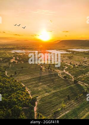 A beautiful sunset over the horizon of Pak Chong in Thailand with scenic landscapes and birds flying into the warm sun. Stock Photo