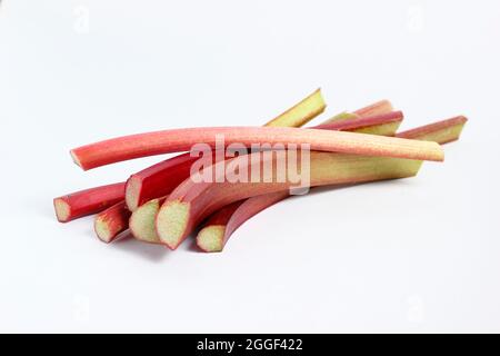 Rheum. Freshly picked rhubarb stems isolated on a white background.UK Stock Photo