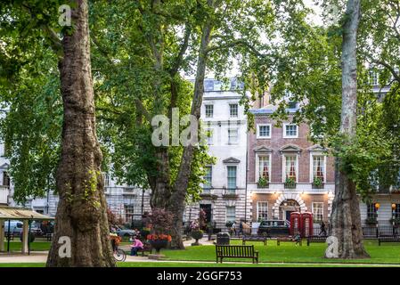 Berkeley Square, a green town square in Mayfair in the West End,  City of Westminster. It was laid out in the mid 18th century by the architect Willia Stock Photo