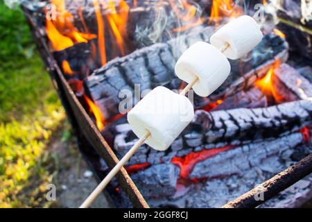 marshmallow on a stick being roasted over a camping fire Stock Photo