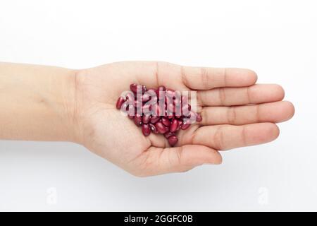 macro Close-up of Organic Rajma,  (Laal Lobia ) or red kidney beans dal on the palm of a Female hand. Top view Stock Photo