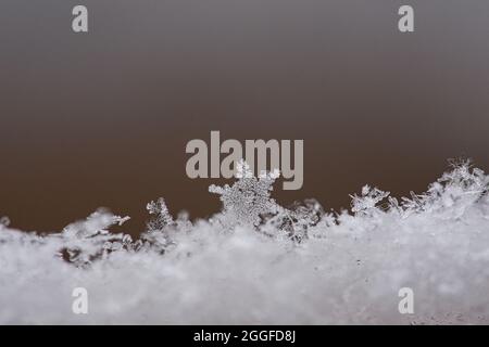 snowflake and ice crystal in the snow. individually depicted. wintry atmosphere. detailed and isolated. Stock Photo