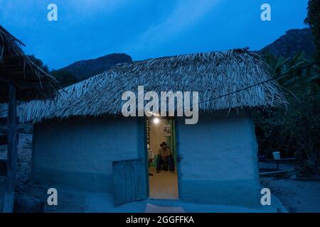 Thatched roof  - typical modest rural house in countryside Brazil. Stock Photo