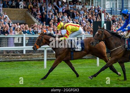 Windsor, Berkshire, UK. 28th August, 2021. Jockey Hector Crouch on horse Louie De Palma wins the St Leger on Sky Sports Racing Handicap Stakes (Class 4). Trainer Clive Cox, Hungerford. Credit: Maureen McLean/Alamy Stock Photo