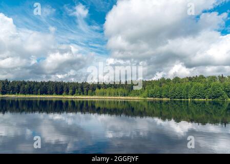 Beautiful landscape view of the lake in the forest Stock Photo