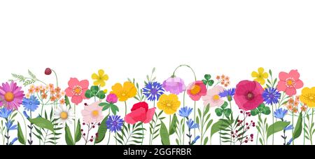 Horizontal banner with multicolored wildflowers and leaves Stock Vector