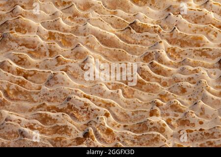 Natural travertine stone close up, abstract background Stock Photo