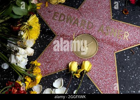 August 31, 2021, Los Angeles, California, USA: Flowers are placed at the star of late actor Ed Asner on the Hollywood Walk of Fame, Tuesday. Asner, who became a star in middle age as the gruff but lovable newsman Lou Grant in both the television comedy 'The Mary Tyler Moore Show' and the drama 'Lou Grant,' died on Sunday at 91. (Credit Image: © Ringo Chiu/ZUMA Press Wire) Stock Photo