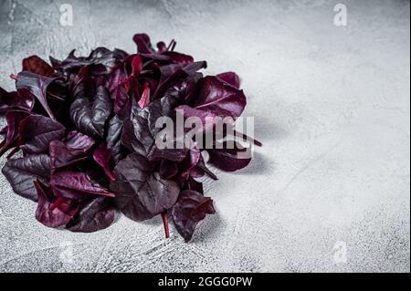 Leaves of Swiss red chard or Mangold salad. White background. Top view. Copy space Stock Photo