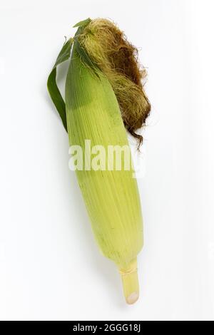 fresh corn ears with leaves isolated on white background, top view of closed corncob Stock Photo