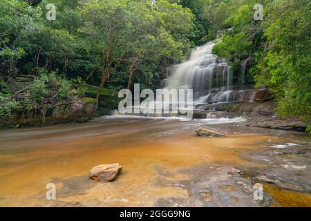 wide shot of somersby falls, with high spring flow, near gosford on the nsw central coast Stock Photo