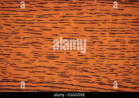 Dark beech, polished natural dark wood surface with small black stripes close-up. Background, pattern, texture. Stock Photo