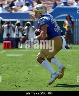 August 28, 2021 - UCLA Bruins running back Ethan Fernea #36 runs the ball during a game between the UCLA Bruins and the Hawaii Rainbow Warriors at the Rose Bowl in Pasadena, CA - Michael Sullivan/CSM Stock Photo