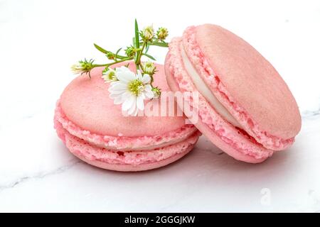 Close up of two pink macaroons or French macarons and beautiful tiny white flowers on a white marble top background. Stock Photo