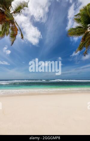 Abstract seascape with palm trees, tropical beach background. Stock Photo