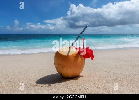 Fresh coconut with tropical juice on tropical beach Stock Photo