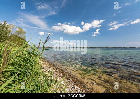 Beautiful crystal-clear water of the Baltic Sea and scenic shoreline in Holnis in Northern Germany Stock Photo
