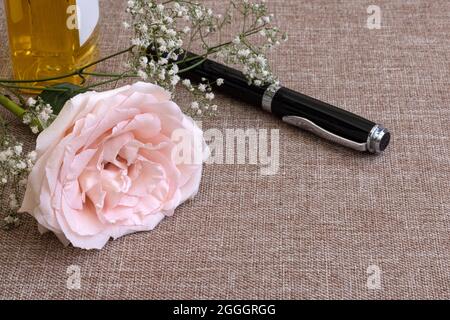 A beautiful blooming pink rose and a black pen on a table with copy space. Stock Photo