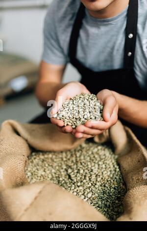 Hands of barrista putting green unroasted coffee beans into sack Stock Photo