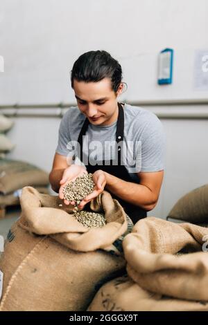 Hands of barrista putting green unroasted coffee beans into sack Stock Photo