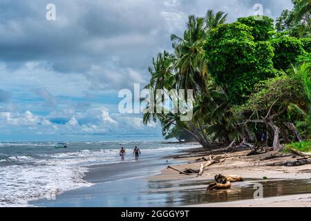 Two local Costa Rican men walking at a beautiful sandy beach bordered with tall green coconut palm trees at the Pacific Cosast of tropical Costa Rica. Stock Photo