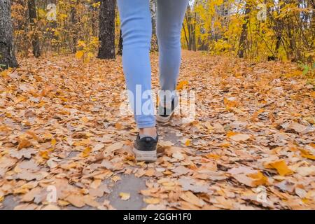 Woman legs walking on road with fallen leaves in autumn park Stock Photo