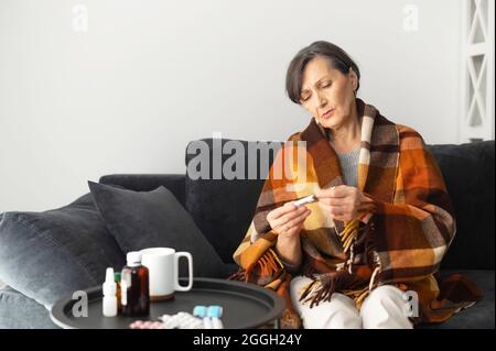 Senior woman feel sick, a mature older lady sits on the couch covered blanket, measuring body temperature, looks at the thermometer and touches forehead, has viral infection, fever Stock Photo