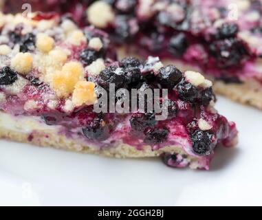 pieces of homemade blueberry pie with cottage cheese and crumble, food close up, macro on white background Stock Photo
