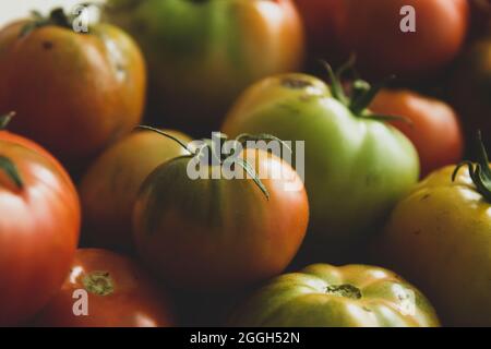 Green and red ripe tomatoes close up Stock Photo