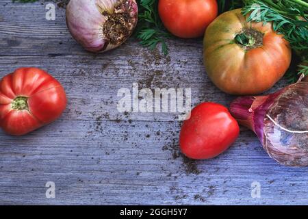 Fresh tomatoes and onions on rustic wooden table, healthy food concept, copy space Stock Photo
