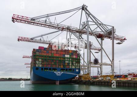 Cargo container crates on HMM Gaon Monrovia moored at Southampton docks, Hampshire UK in August - shipping containers freight Stock Photo