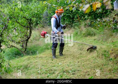 Cutting long grass on sale with a strimmer