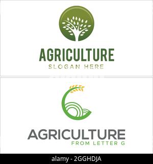 Farming agriculture leaf plant wheat logo design Stock Vector