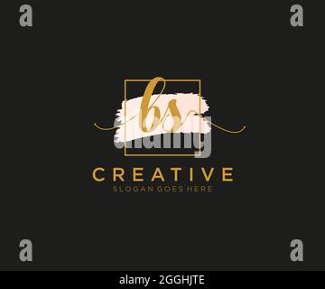 BS Feminine logo beauty monogram and elegant logo design, handwriting logo of initial signature, wedding, fashion, floral and botanical with creative Stock Vector