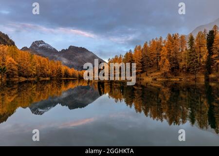 Sonnenaufgang am Palpuognasee Kanton Graubünden Schweiz