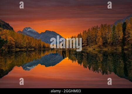 Sonnenaufgang am Palpuognasee Kanton Graubünden Schweiz
