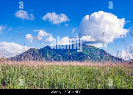 The mountain Le Grand Colombien seen from the marais de Lavours, France Stock Photo