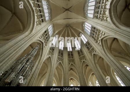 LEUVEN, BELGIUM - Aug 17, 2021: Interior of Saint Peter's Church  is a Roman Catholic church built in the 15th century in the Brabantine Gothic style. Stock Photo