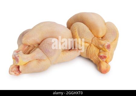 Studio shot of free range, corn fed poussin cut out against a white background - John Gollop Stock Photo