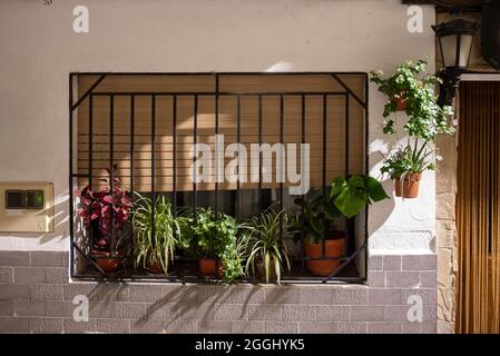 old window with flowers between the iron bars Stock Photo