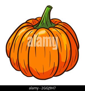 Ripe Gourd Illustration. Winter Squash Icon. Hand drawn pumpkin sketch. Element for autumn decorative design, halloween invitation, harvest, sticker, print, logo, menu, recipe Stock Vector